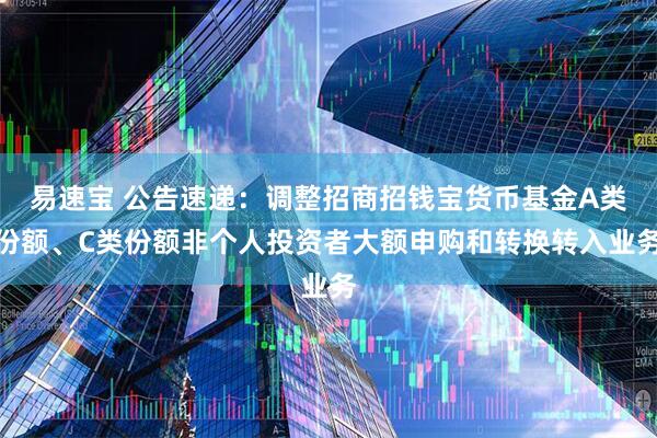 易速宝 公告速递：调整招商招钱宝货币基金A类份额、C类份额非个人投资者大额申购和转换转入业务