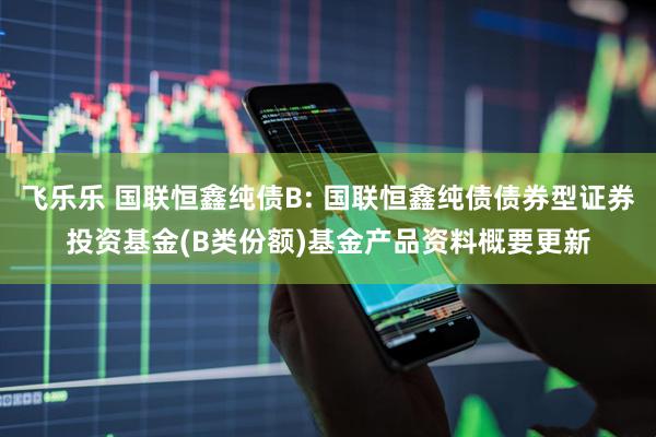 飞乐乐 国联恒鑫纯债B: 国联恒鑫纯债债券型证券投资基金(B类份额)基金产品资料概要更新