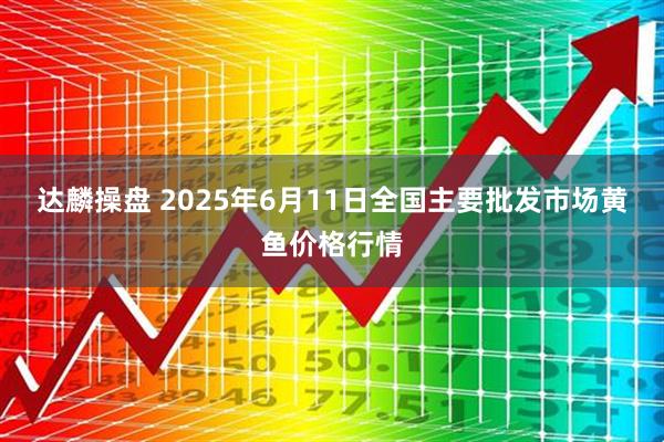 达麟操盘 2025年6月11日全国主要批发市场黄鱼价格行情
