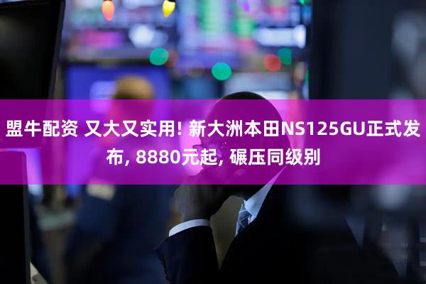 盟牛配资 又大又实用! 新大洲本田NS125GU正式发布, 8880元起, 碾压同级别