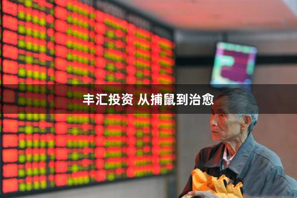 丰汇投资 从捕鼠到治愈