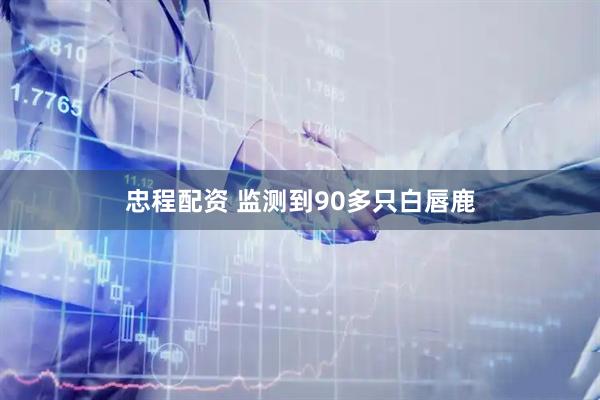 忠程配资 监测到90多只白唇鹿