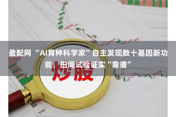 盈配网 “AI育种科学家”自主发现数十基因新功能，田间试验证实“靠谱”