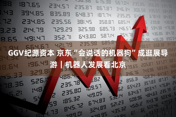GGV纪源资本 京东“会说话的机器狗”成逛展导游｜机器人发展看北京