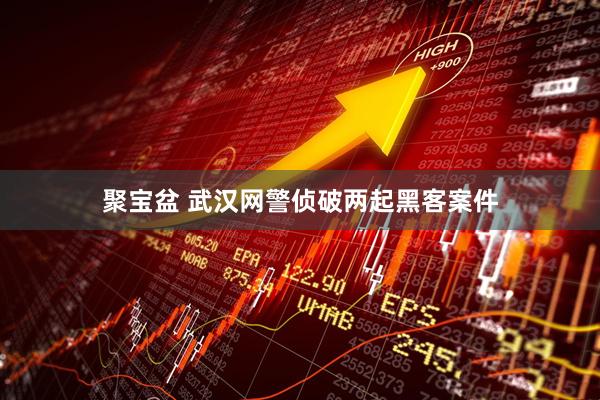 聚宝盆 武汉网警侦破两起黑客案件