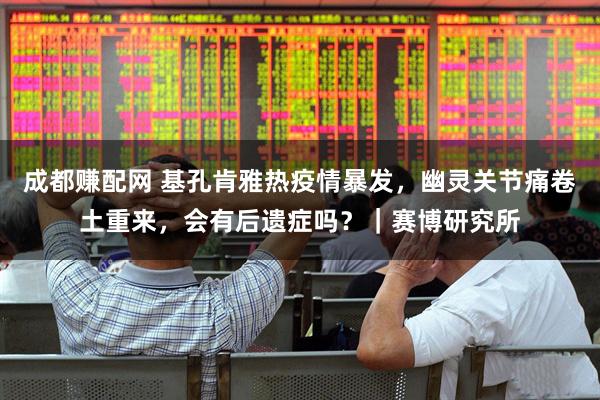 成都赚配网 基孔肯雅热疫情暴发，幽灵关节痛卷土重来，会有后遗症吗？｜赛博研究所