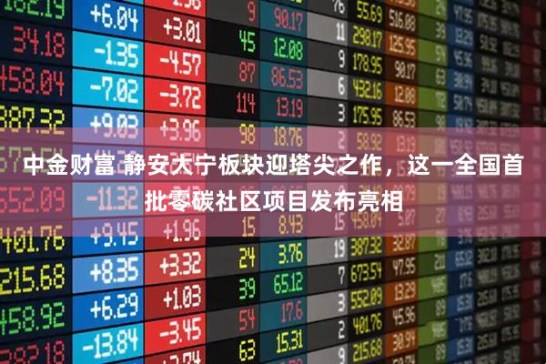 中金财富 静安大宁板块迎塔尖之作，这一全国首批零碳社区项目发布亮相