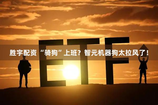 胜宇配资 “骑狗”上班？智元机器狗太拉风了！
