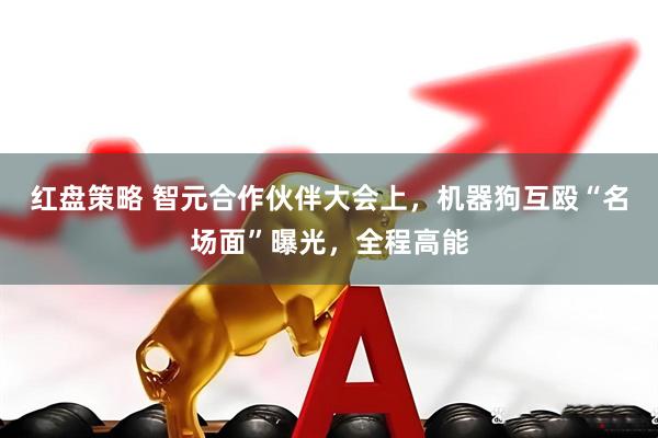 红盘策略 智元合作伙伴大会上，机器狗互殴“名场面”曝光，全程高能