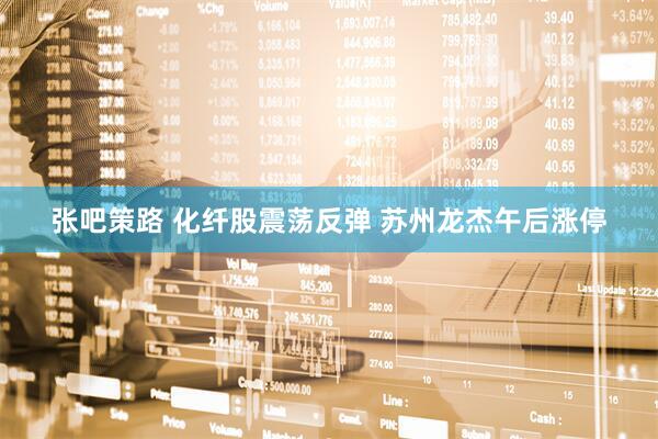 张吧策路 化纤股震荡反弹 苏州龙杰午后涨停