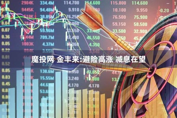 魔投网 金丰来:避险高涨 减息在望