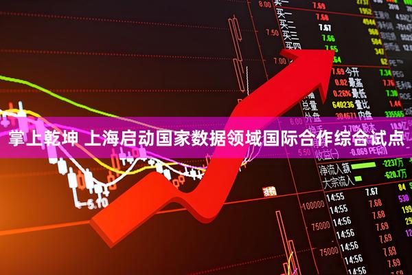 掌上乾坤 上海启动国家数据领域国际合作综合试点